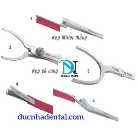 Kẹp giấy cắn