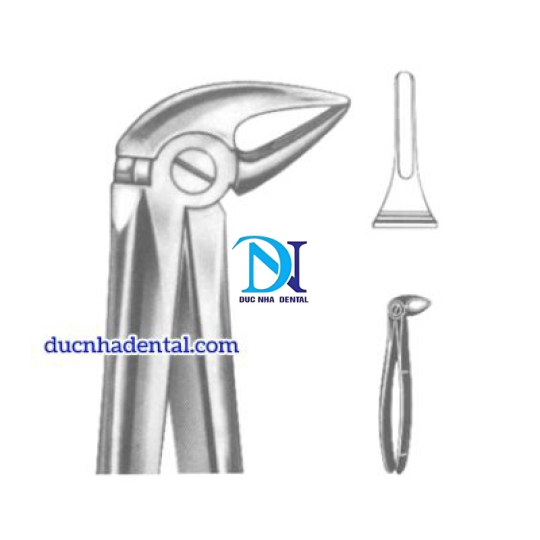 Kềm số 33 nhổ chân răng HD